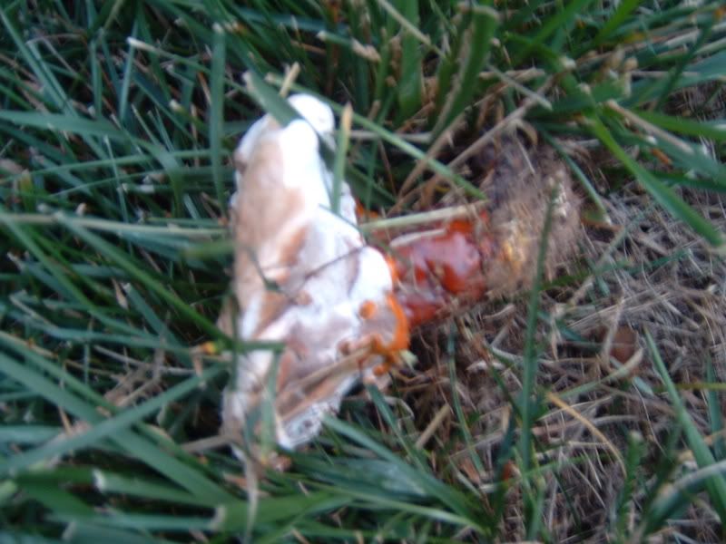 DSCF0005-2.jpg