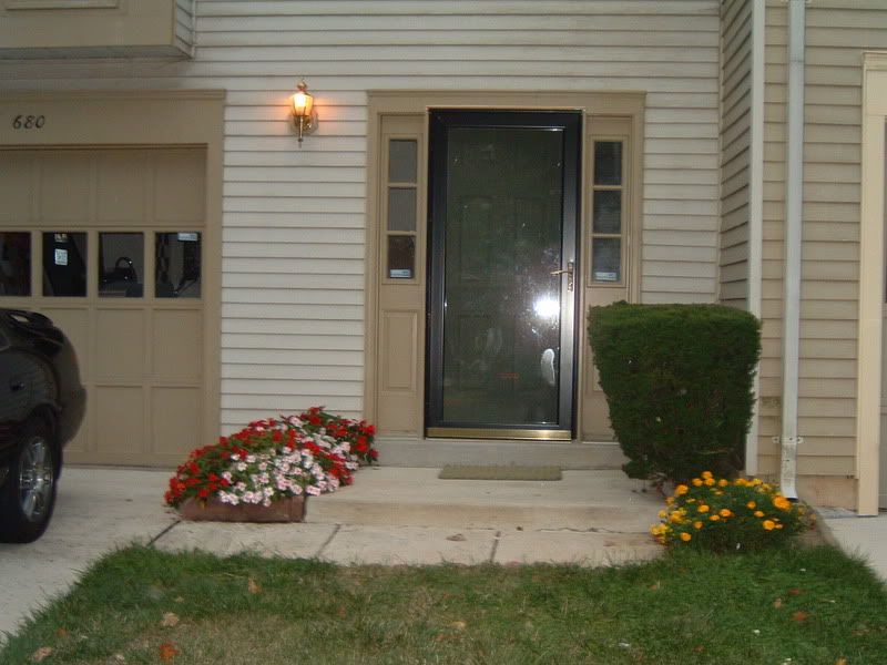 Flowers004.jpg