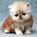 kittenavatar.jpg