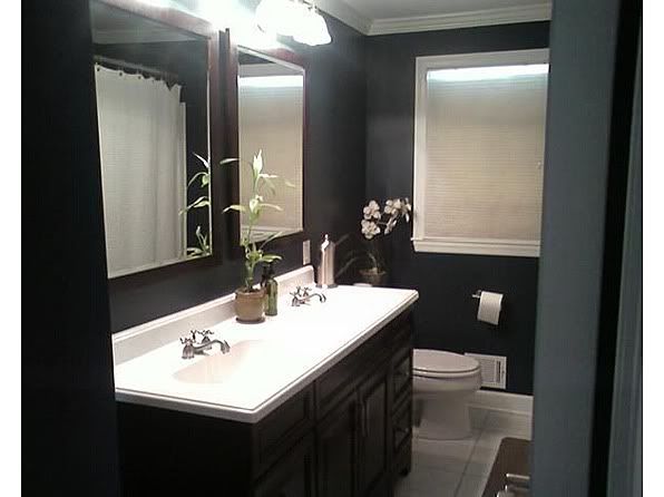 http://i26.photobucket.com/albums/c136/jxaxexgxexr/bath1.jpg