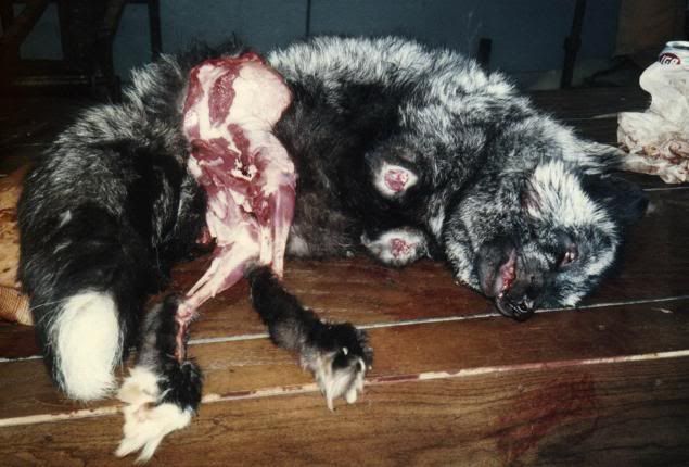 Photobucket - Video and Image Hosting Photobucket - Video and Image Hosting