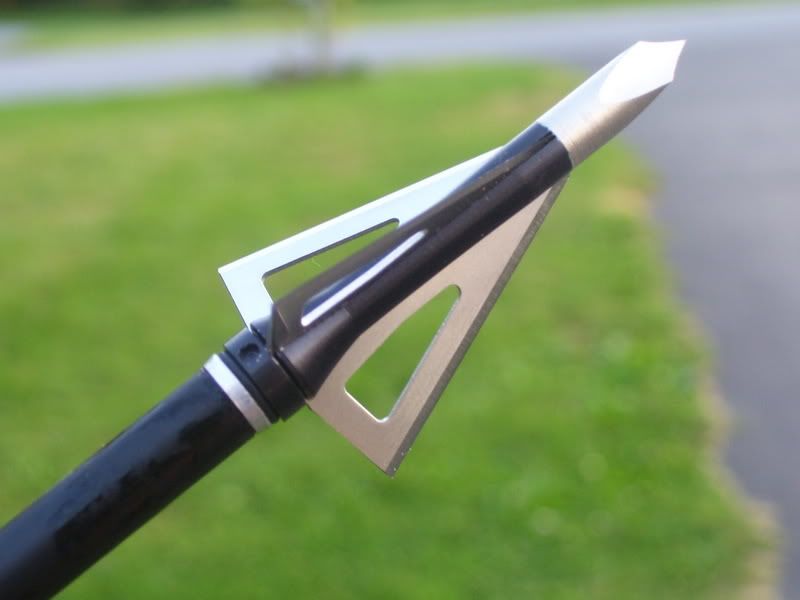 Best Broadhead Ever! Archery Talk Forum