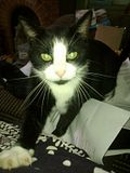 Bruce. photo 22092013366_zps4191a670.jpg