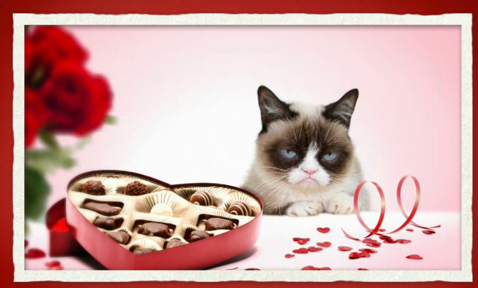Image result for grumpy cat valentines day