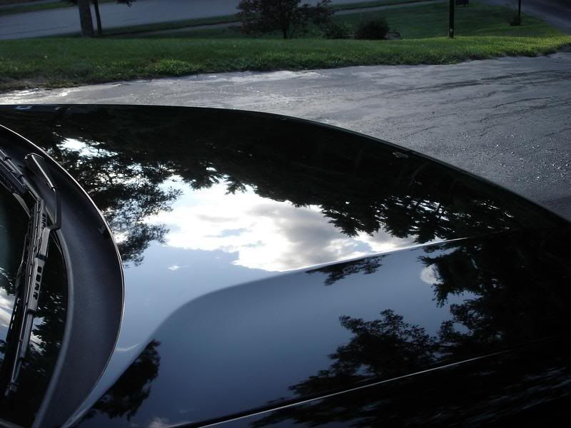 Passat027.jpg