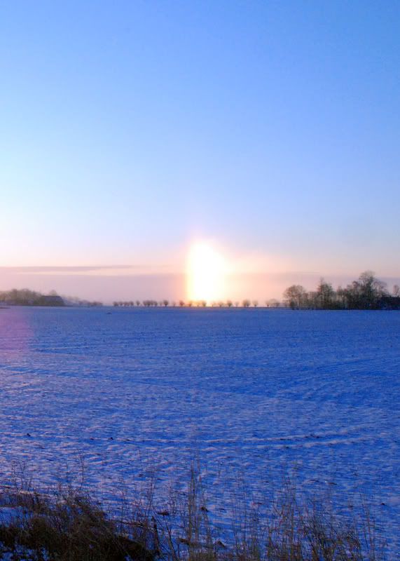 14februari011.jpg