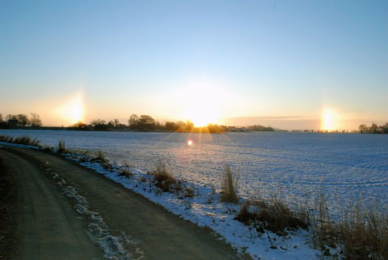 14februari012.jpg