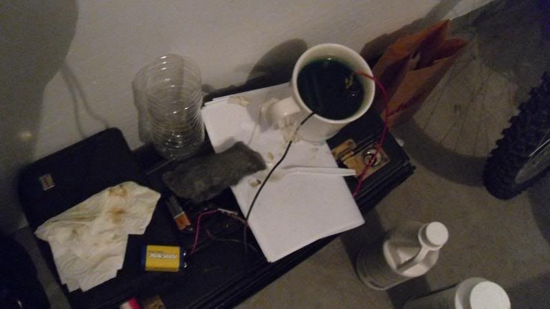 SAM_1323_zps0d2a5866.jpg