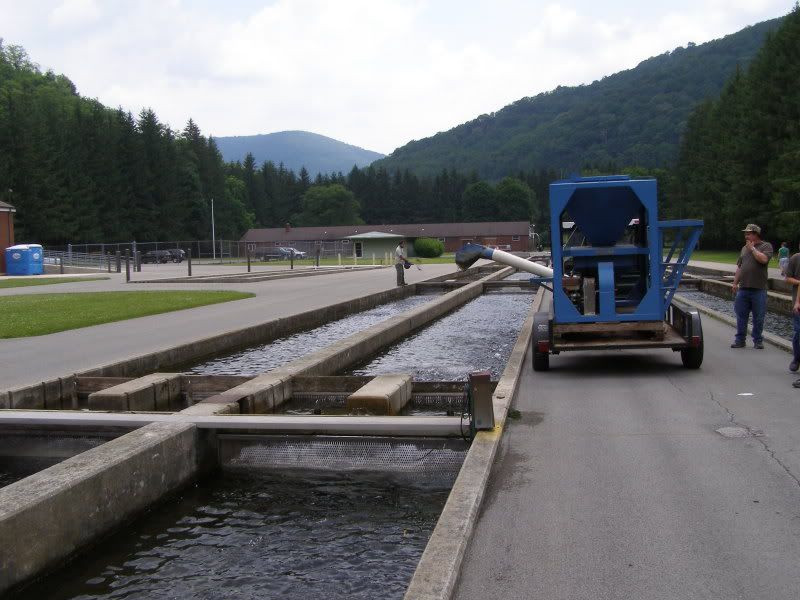 Bowden WV Fish Hatchery ShoreBilly Camping Forum