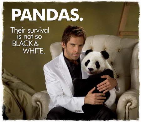 Tropic Thunder Panda Pictures, Images and Photos