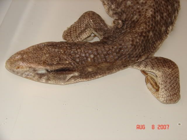 DSC09336.jpg
