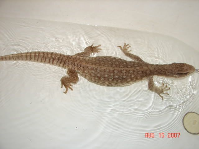 DSC09472.jpg
