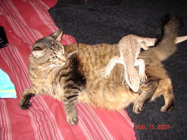 DSC09474.jpg