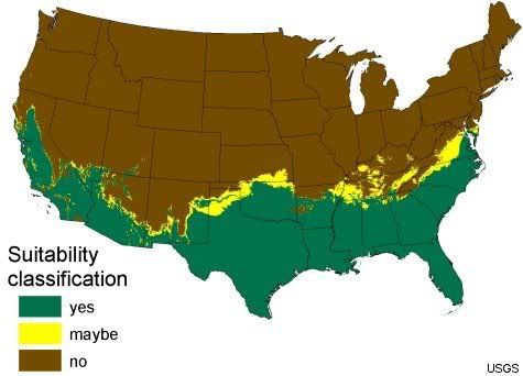 snakemap2.jpg