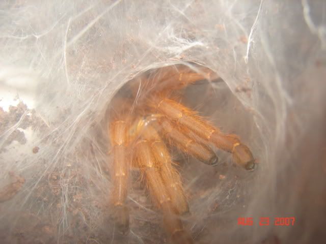 DSC09555.jpg