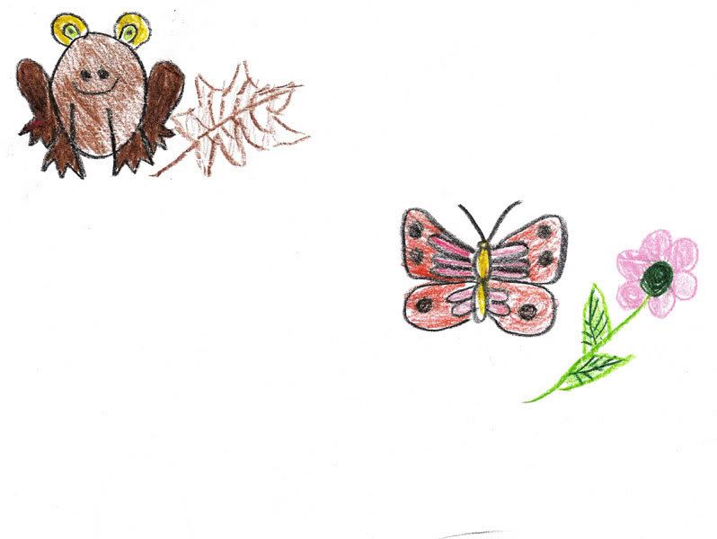 frosch schmetterling