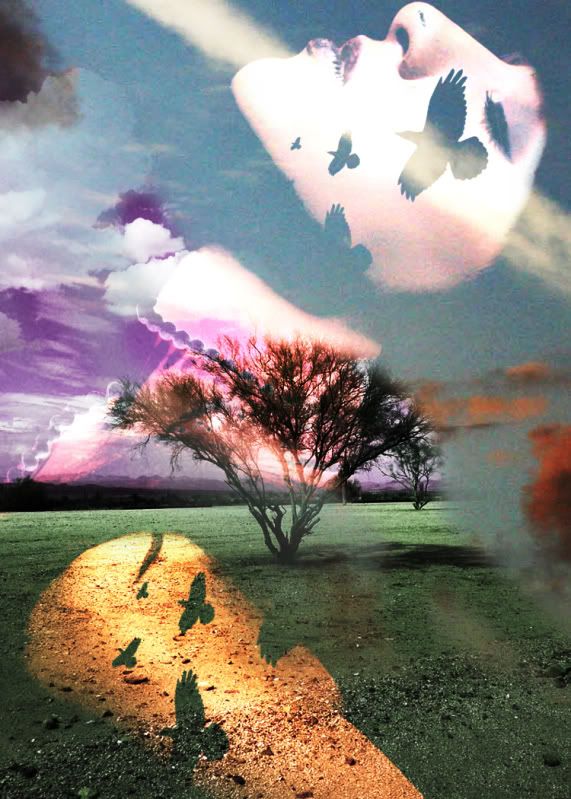 Beautiful Nightmare Pictures, Images and Photos