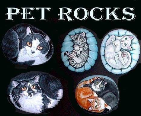 petrocks3.jpg picture by Ourplaceusa