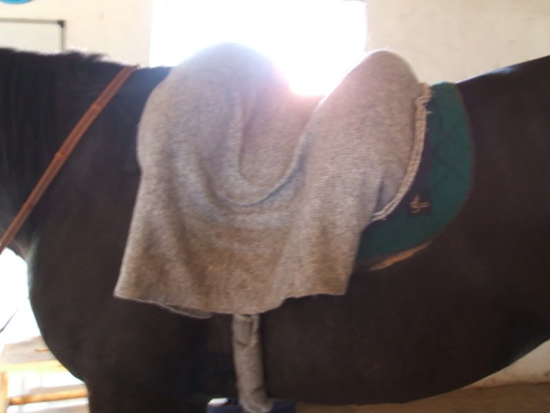 DSCF0174.jpg