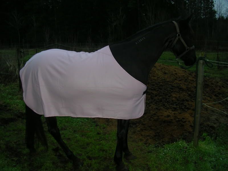 DSCN2628.jpg