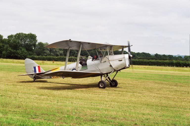 2006HawkMoth016a.jpg