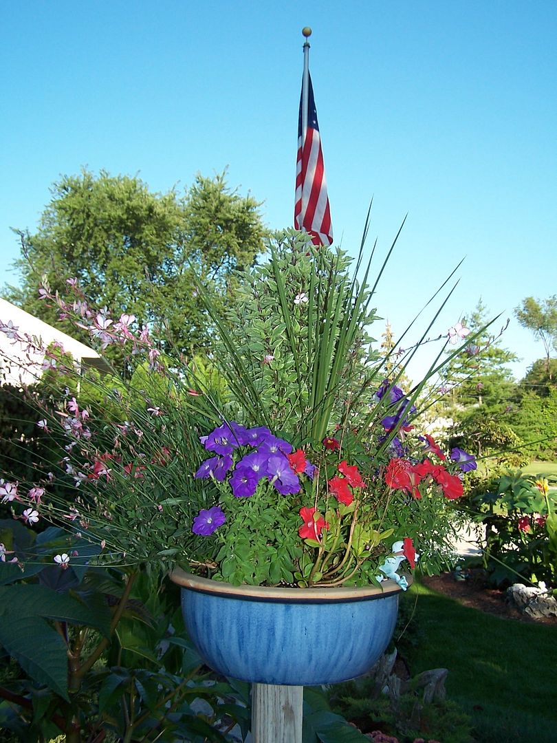  photo LateAug08037_zpse8b61ebe.jpg