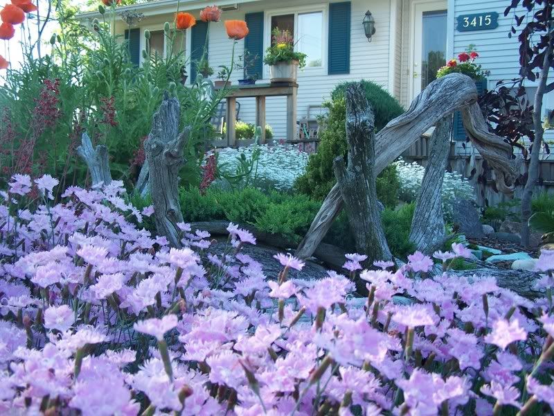  photo planters057.jpg