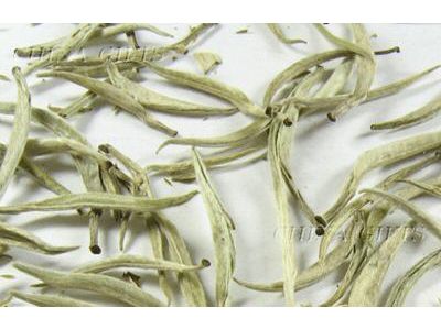 Silver Needel White Tea