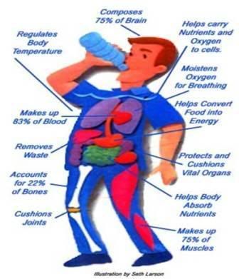 Drink Water