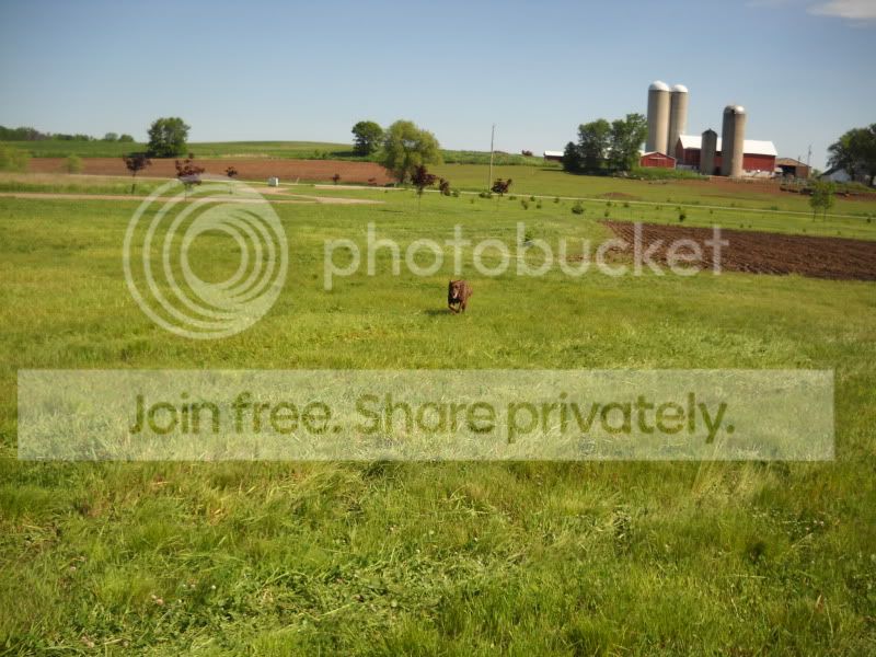 May252012008.jpg