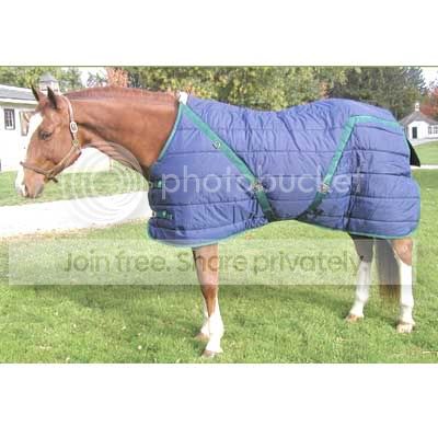 re: The Snuggie (for those of you who need a laugh)