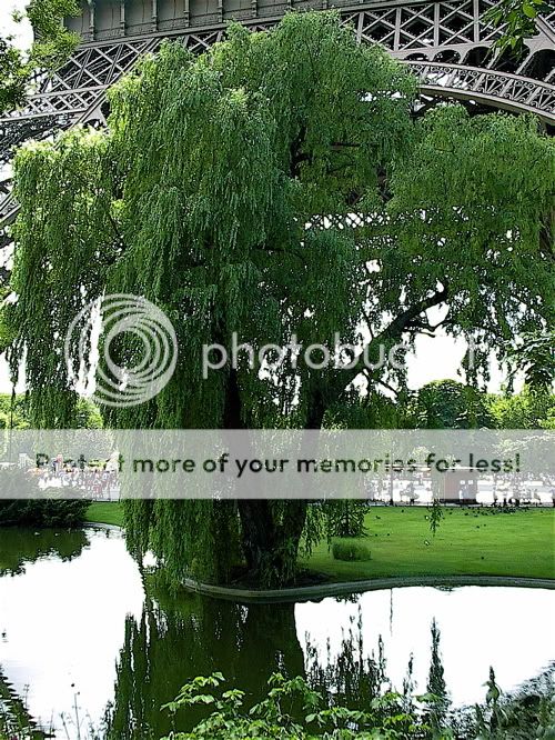 re: I love you best12!!