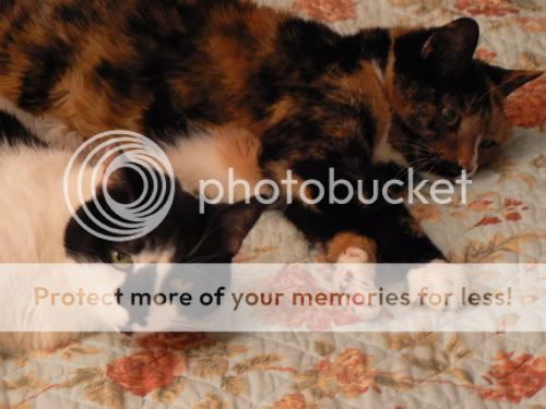 the adults are smoking and joking...