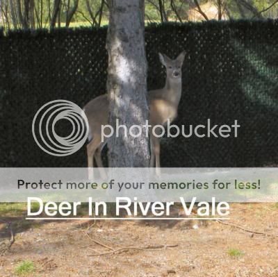 re: HAPPY Birthday, RobbieJ!