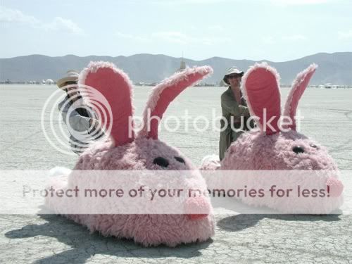 re: Still in the pink