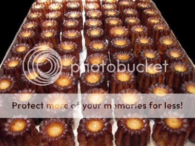 Happy Birthday, DottieD'Luscia!