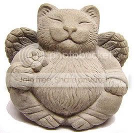 BuddhaKat.jpg