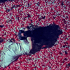 Icon #055