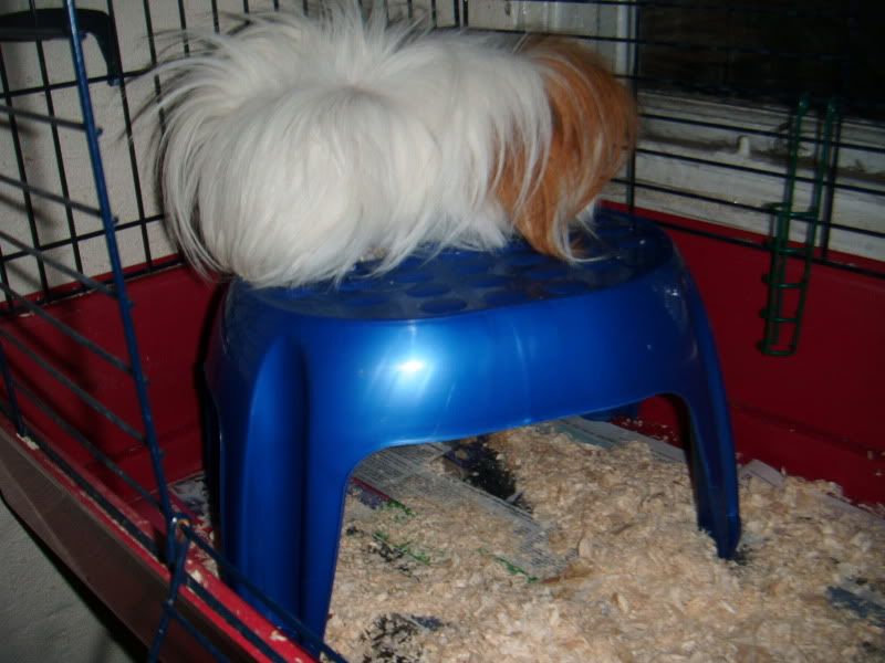 DSCF0548.jpg