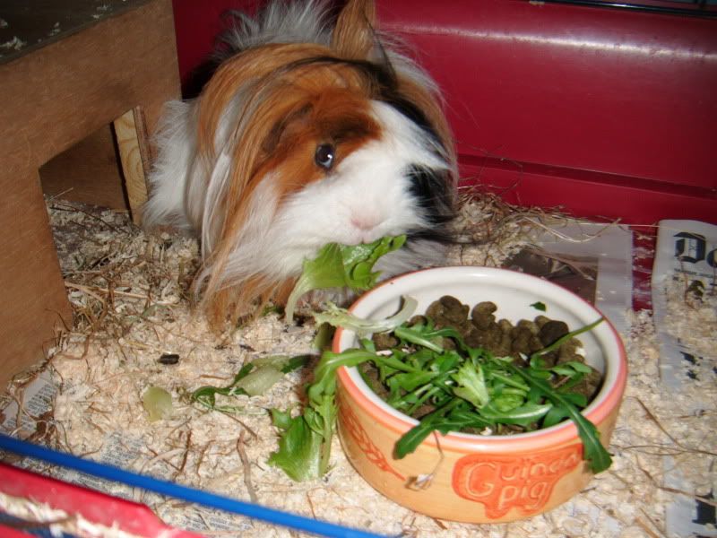 DSCF0578.jpg
