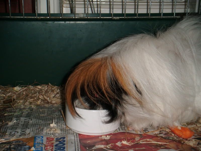 DSCF0585.jpg