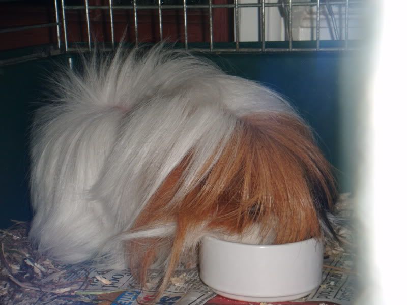 DSCF0587.jpg