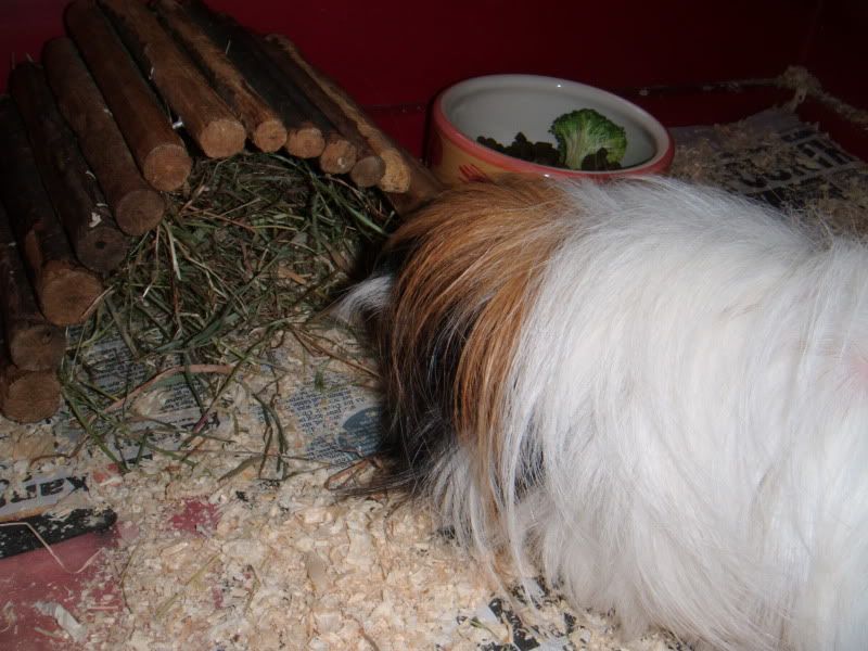 DSCF0591.jpg