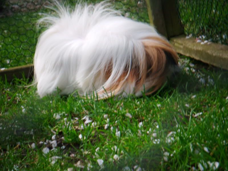 DSCF0637.jpg