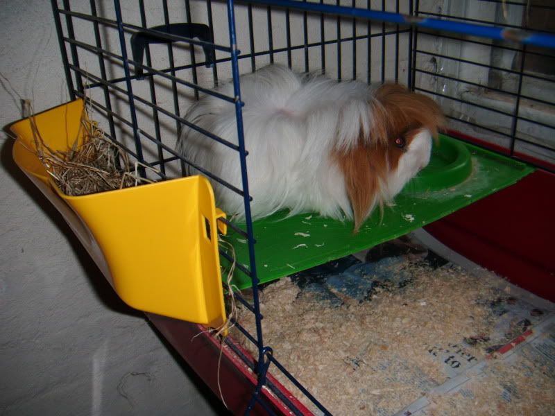 DSCF0771.jpg