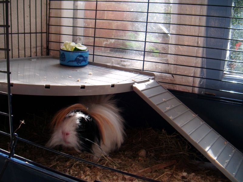 DSCF0868.jpg