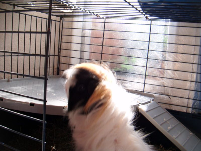 DSCF0870.jpg