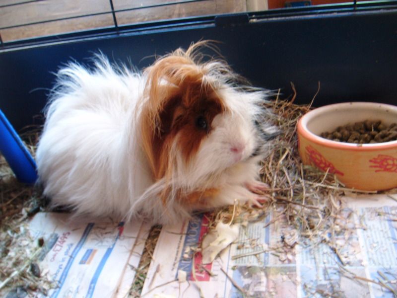 DSCF0911.jpg
