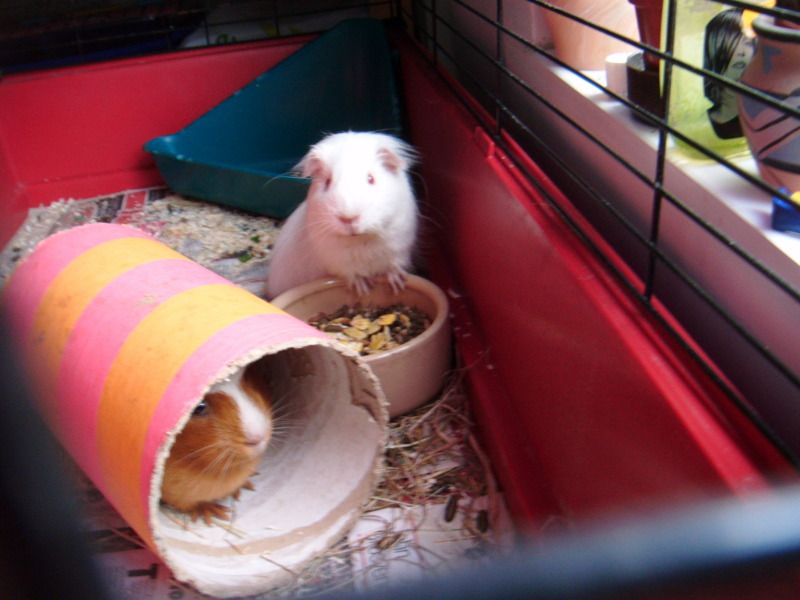 DSCF0972.jpg