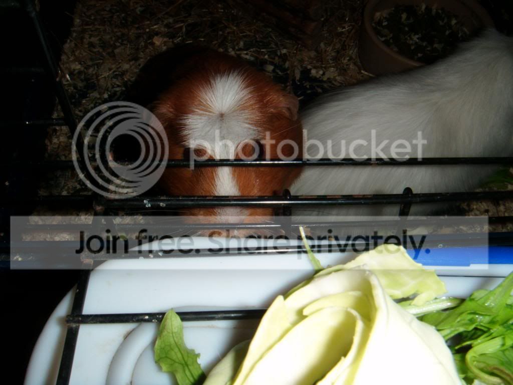 DSCF1076_zps4ee5ba2d.jpg